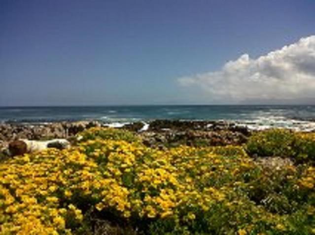 Villa Ocean Crest B&B Gansbaai Exterior photo